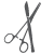 Surgical Services Surgical Services