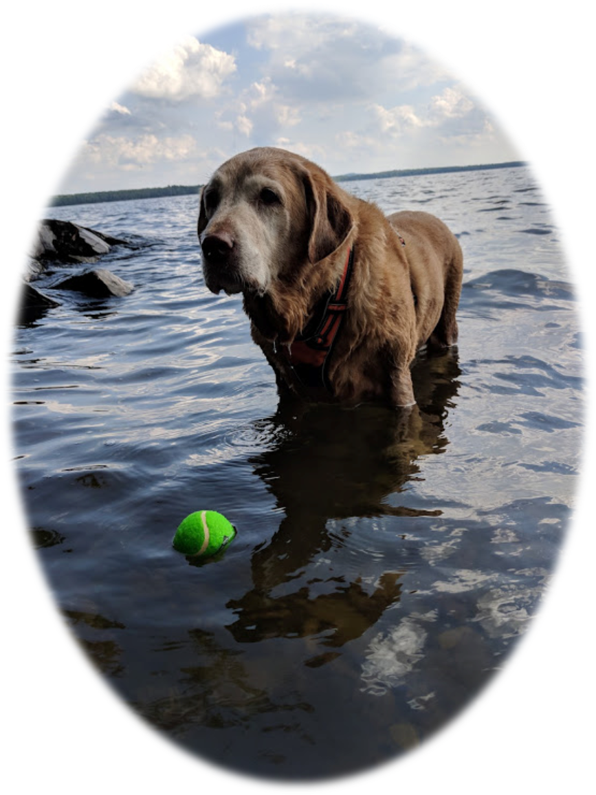Molly in the water Molly in the water